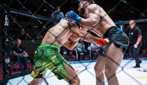 Exploring the UFC Landscape: From Dricus du Plessis to Zhang Weili