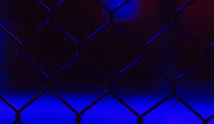 Bud Light Scores Historic UFC Sponsorship Deal